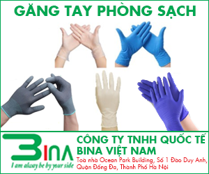 Công ty TNHH Quốc Tế Bina Việt Nam